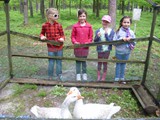 Łążek Garncarski 1d 2015 (8)